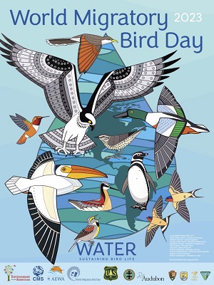 Water: Sustaining Bird Life
