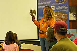 Presenter with Eastern Screech-Owl