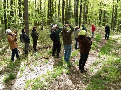 Lake 11 Bird Walk