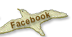 CBC Facebook